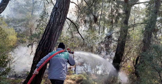 Antalya’daki orman yangını 2 saatte kontrol altına alındı
