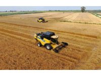 Ukrayna-Rusya savaşıyla önemi artan buğdayın Adana’da hasadı başladı