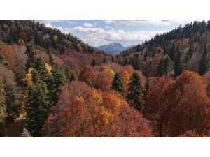 Adana’da sonbahar güzelliği: Adeta doğa sanata dönüştü