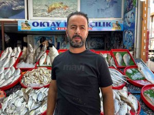 Akdeniz’de teknenin çapa halatına dolanan devasa büyüklükteki köpekbalığı balıkçılara korku dolu anlar yaşattı