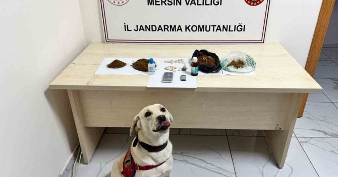 Mersin’de uyuşturucu operasyonu: 5 şüpheli tutuklandı