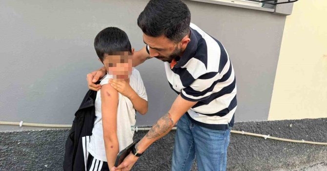 Çocuğu fırlatan şüpheli tutuklandı, amca tepki gösterdi: "Kimse kimsenin çocuğunu böyle tavuk gibi fırlatamaz"