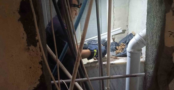 Apartman boşluğuna düşürek mahsur kalan yavru kediyi itfaiye ekipleri kurtardı