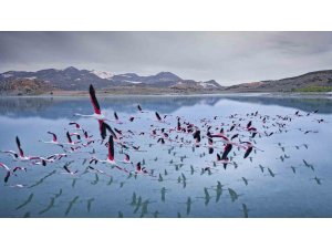 2 yıl önceye kadar flamingoları ağırlayan gölde şimdi sadece ayak izleri kaldı