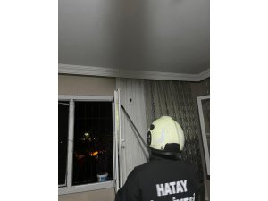 ARsuz’da eve giren yarasayı itfaiye yakaladı