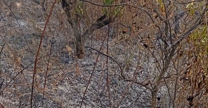 Yaşlı adam, bahçesini temizlerken yangında hayatını kaybetti