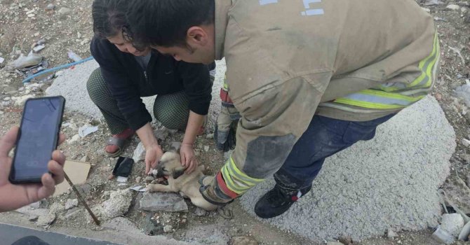 Rögarda mahsur kalan yavru köpeği itfaiye kurtardı