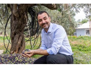 Manavgat’ta Zeytin ve Zeytinyağı Festivali’nin ikincisi başlıyor