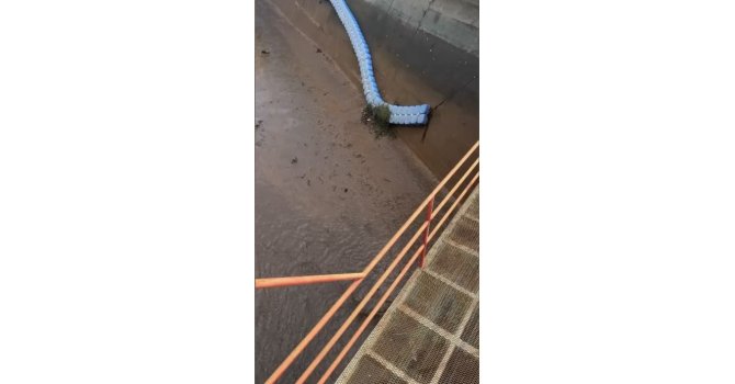 Osmaniye’de baraj kapakları açıldı, yüzlerce balık telef oldu