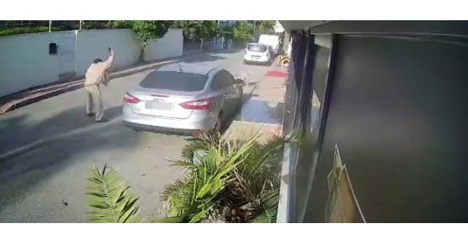 Köpeği silahla vuran emekli polis için 4 yıla kadar hapis talebi