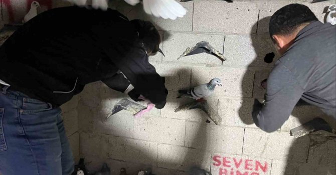 Hatay’da kuş kümesinden 2 kilo 500 gram uyuşturucu madde ve para çıktı