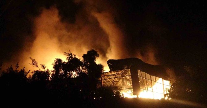 Kundakçı komşu hakim karşısına çıktı: ’Çok pişmanım’ savunması yaptı