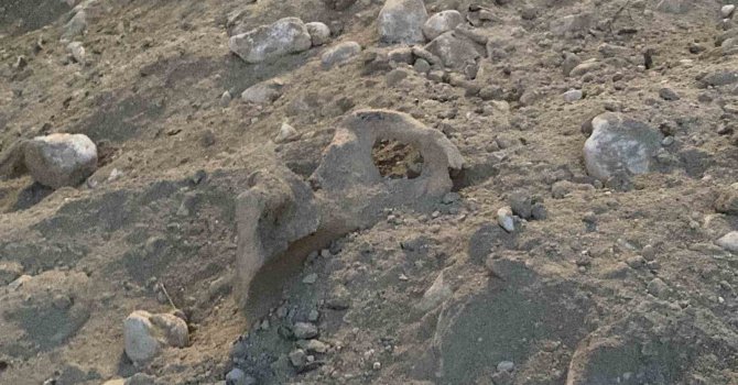 Burdur’da belediyenin kazı çalışması sırasında insan kemikleri bulundu