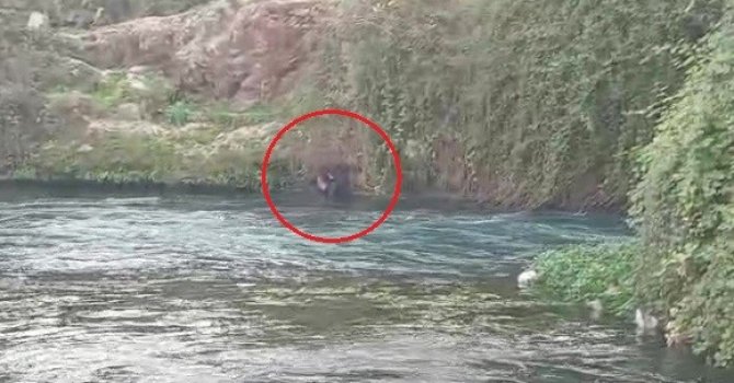 Düden Çayı’na düşen şahsı itfaiye ekipleri kurtardı