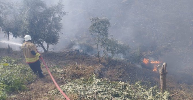Kumlu’da bahçe yangını