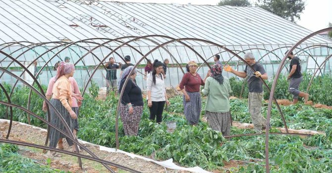 Mersin’de fırtına ve hortum seralara zarar verdi