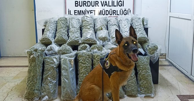 Burdur’da 36 kilo skunk maddesi ele geçirildi, operasyon görüntülüleri film sahnelerini aratmadı