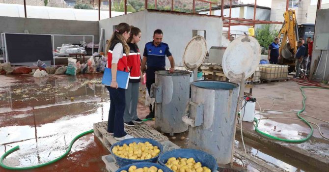 Sağlıksız şartlarda patates dilimleyen işletme mühürlendi