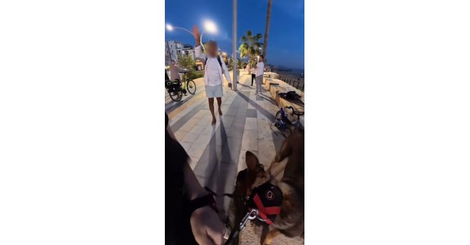 Bankta köpeğiyle oturan yerleşik yabancı kız çocuğu hayatının şokunu yaşadı