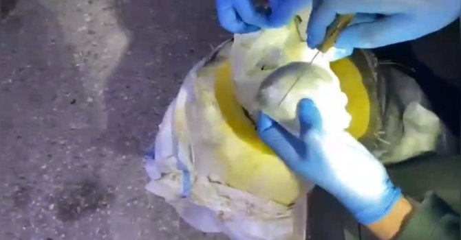 Osmaniye’de bal kabağından uyuşturucu çıktı