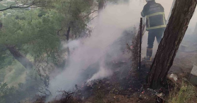 Dörtyol’da ormanlık yangını