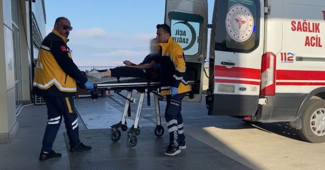 Burdur’da sokak köpekleri küçük kıza dehşeti yaşattı