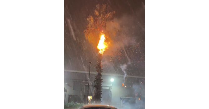 Adana’da düşen yıldırımlar yangına neden oldu