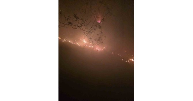 Hatay’da yıldırımın düştüğü ormanlık alanda yangın çıktı