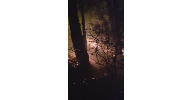 Hatay’da yıldırım düşmesiyle çıkan orman yangına müdahale devam ediyor