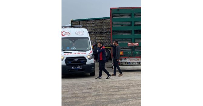 Tırın altında kalan yaşlı adam hayatını kaybetti