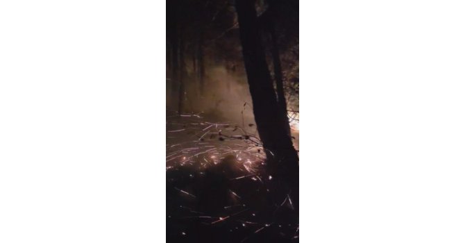 Hatay’da yıldırımın düştüğü ormanlık alandaki yangın 16’ncı saatte kontrol altına alındı