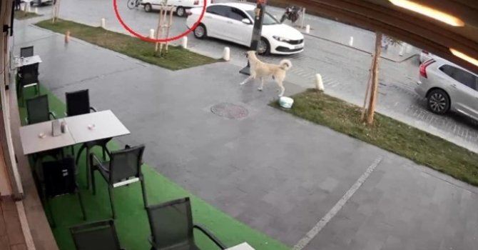 Yolun karşısına geçmek isteyen bisikletliye otomobil çarptı: 1 yaralı