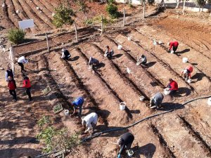 Salep toprakla buluşturuldu