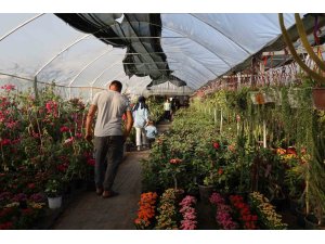 Çiçekçilerde Öğretmenler Günü yoğunluğu: Buket yerine saksı çiçekleri tercih ediliyor