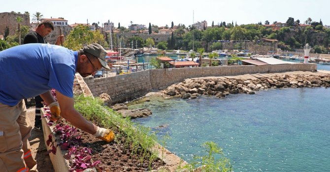 Büyükşehir’den Karaalioğlu Parkı’na modern peyzaj