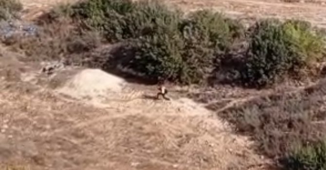 Adana’da nefes kesen kovalamaca: Firari hükümlü boş arazide yakalandı