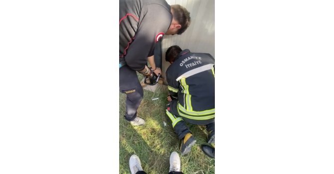 Konteyner ile duvar arasına sıkışan yavru kedi kurtarıldı