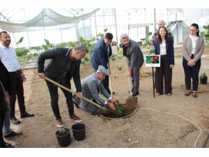 Çocuklara hem teorik hem uygulamalı eğitim