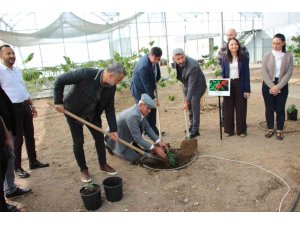Kahve sadece adıyla değil üretimiyle de Türk olacak