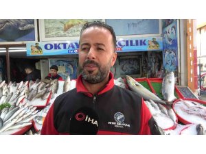 Akdeniz’de oltasına takılan dev kılıç balığı 115 kilogram geldi