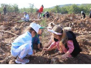 Kepezli Minikler, yangın sonrası orman alanına umut dikti