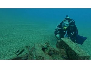 Profesör deniz dibinde taşlardan balıklara yuva yaptı: 12 tür barış içinde yaşıyor