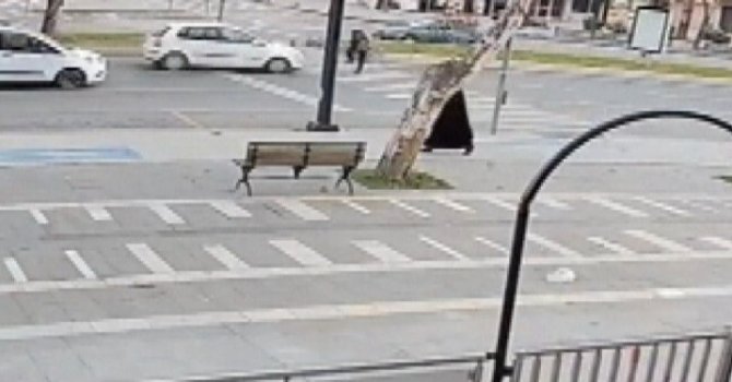 Yolun karşısına geçmeye çalışan yayaya otomobil çarptı