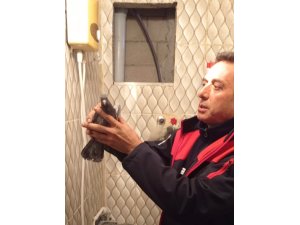 İskenderun’da itfaiye ekiplerinden güvercin kurtarma operasyonu