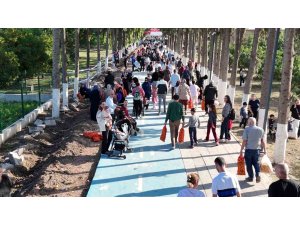 Filesini eline alan vatandaşlar dalından bedava narenciye topladı