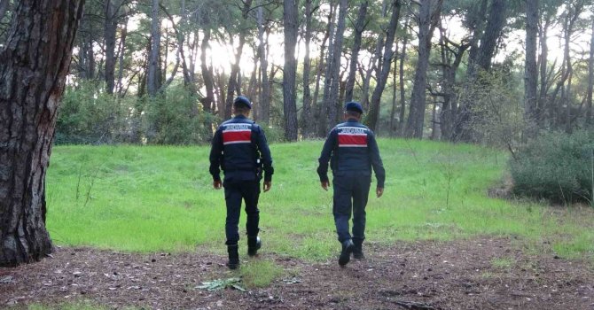 Jandarmadan ormanlık alanlarda kangal ve ateş nöbeti