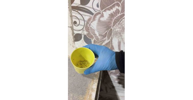 Fırın denetiminde mide bulandıran görüntüler, zabıta böcek çeşitlerini saymakla bitiremedi