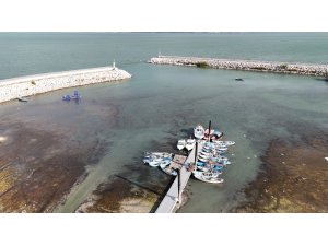 Prof. Dr.  Şahin uyardı: "Eğirdir Gölü’nün hızla çekilmesi ilçeyi felakete sürüklüyor"