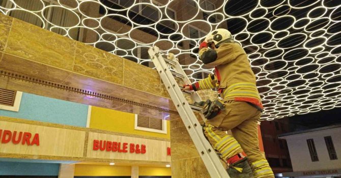 Hatay’da duvar boşluğuna sıkışan kedi itfaiye ekiplerince kurtarıldı