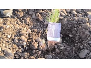 Öğretmenler, şehit ve depremde kaybedilen meslektaşları için fidan dikti